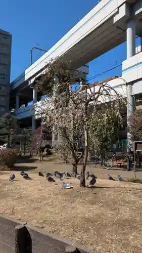 椿神社(東京都)