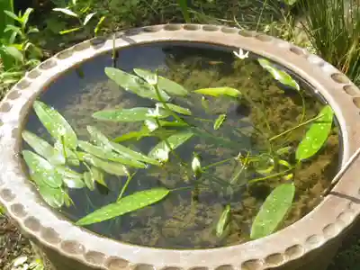 大巧寺のその他建物