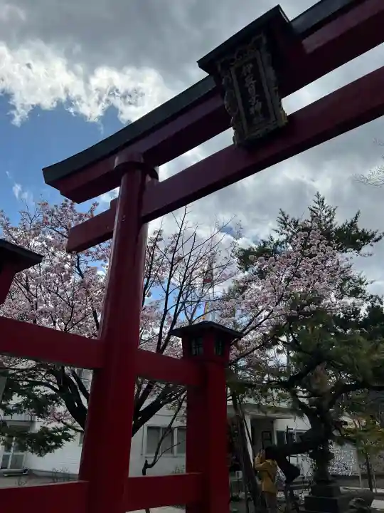 彌彦神社 (伊夜日子神社)の{uncategorized: "未分類", other: "その他", undefined: "問題あり", building: "その他建物", grave: "お墓", sacred_gate: "鳥居", guardian: "狛犬", statue: "像", buddha: "仏像", history: "歴史", nature: "自然", garden: "庭園", animal: "動物", pagoda: "塔", temizu: "手水舎", mountain_gate: "山門・神門", sanctuary: "本殿・本堂", subordinate: "末社・摂社", art: "芸術", scenery: "景色", jizo: "地蔵", ema: "絵馬", goshuin: "御朱印", omikuji: "おみくじ", items: "授与品その他", amulet: "お守り", goshuincho: "御朱印帳", eats: "食事", festival: "お祭り", votive_dance: "神楽", shichigosan: "七五三参", wedding: "結婚式", experience: "体験その他", initially: "初詣", around: "周辺", anti_infection: "感染症対策"}