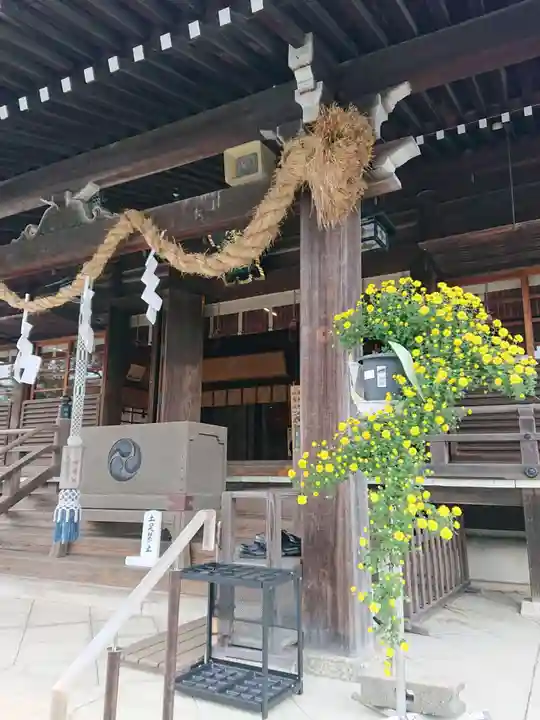焼津神社の本殿・本堂