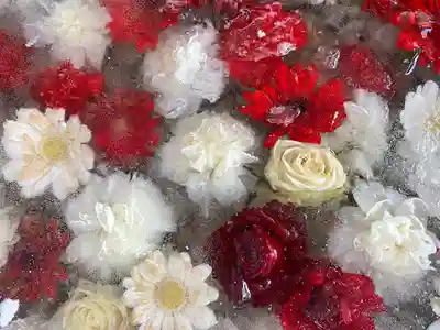 札幌諏訪神社の手水舎