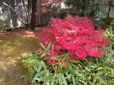 寿量山 速成寺(奈良県)
