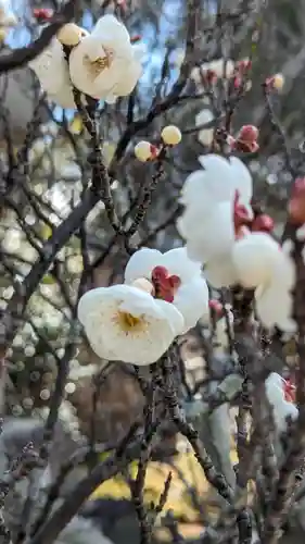 清凉寺(京都府)