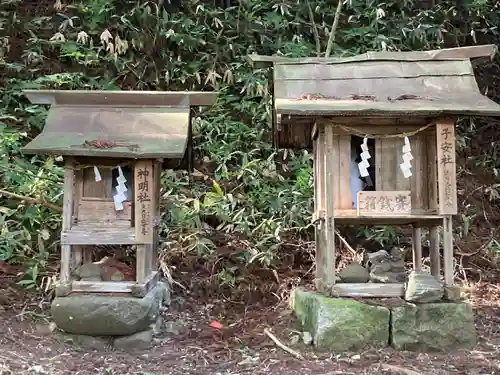 大宮諏訪神社(長野県)