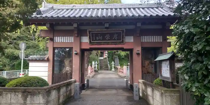 妙蔵寺の山門