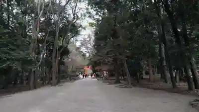 賀茂御祖神社（下鴨神社）(京都府)