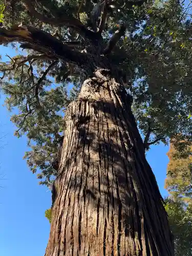日吉神社(千葉県)
