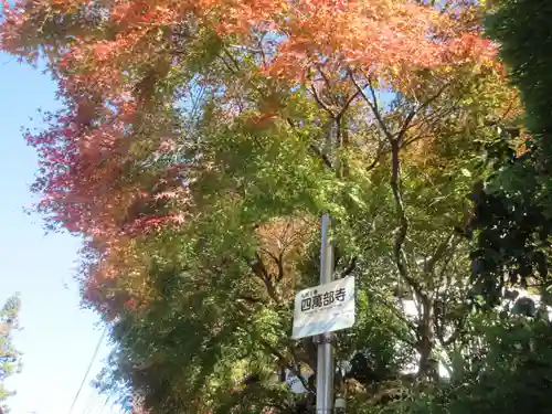 秩父札所１番　四萬部寺(埼玉県)