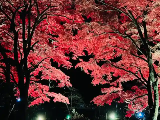 土津神社|こどもと出世の神さまの景色