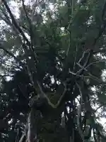 阿上三所神社(京都府)