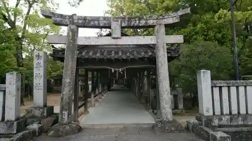 御崎神社の鳥居