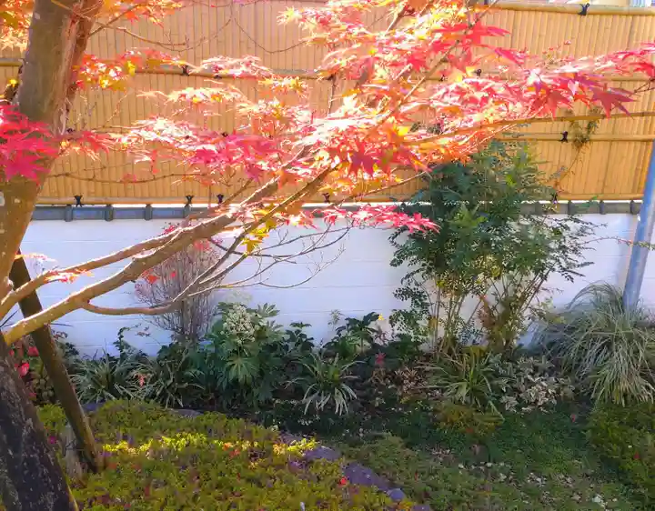 寿量山 速成寺の景色