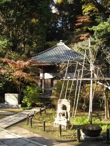 安國論寺(安国論寺)の庭園