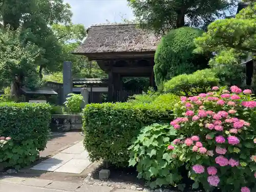極楽寺（霊鷲山感應院極楽律寺）の山門・神門