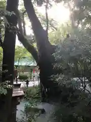 來宮神社の建物その他