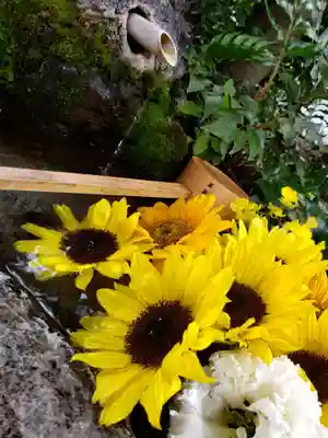 本郷氷川神社(東京都)