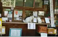 梅宮大社の動物