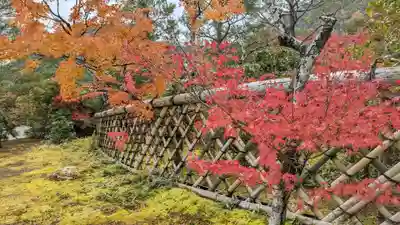 光悦寺(京都府)