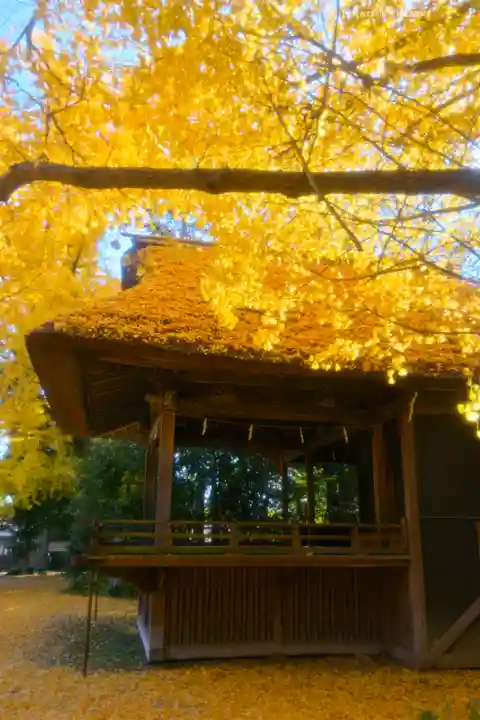 玉敷神社(埼玉県)