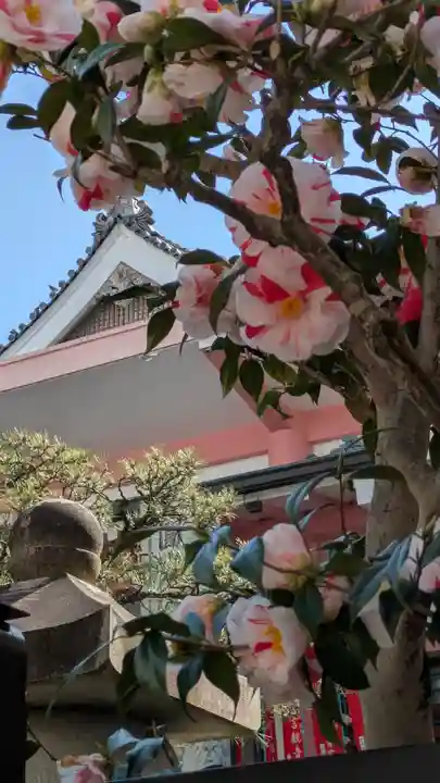 誓願寺(京都府)