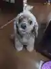 そうちゃん