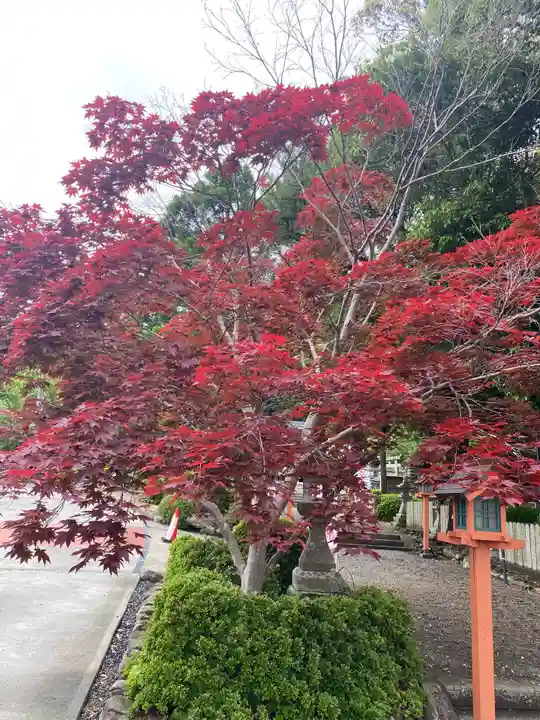 宝来山神社の自然