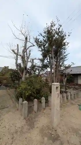 白鬚神社(滋賀県)