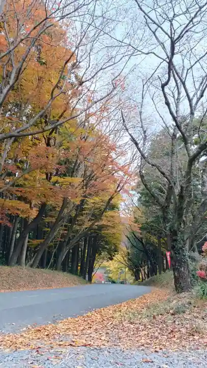 雨引千勝神社(茨城県)