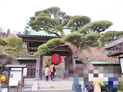 長谷寺の山門・神門