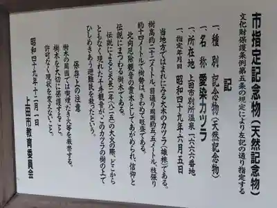 北向観音(長野県)