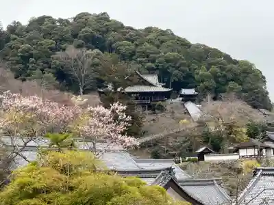 長谷寺(奈良県)
