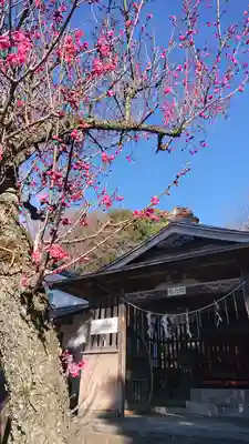 賀茂別雷神社のその他建物