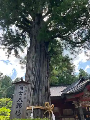 北口本宮冨士浅間神社(山梨県)