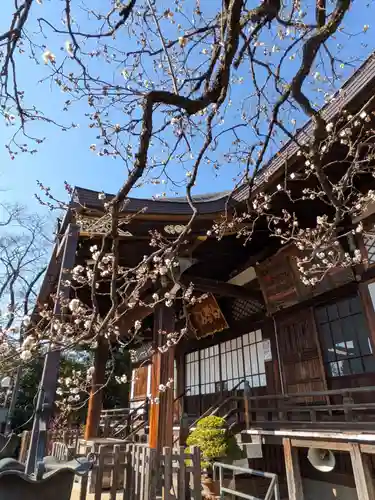 福蔵院(東京都)