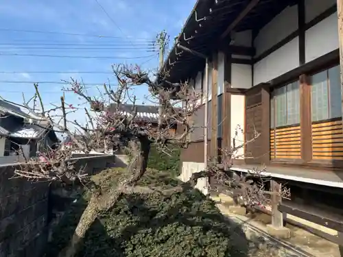 大源寺の景色