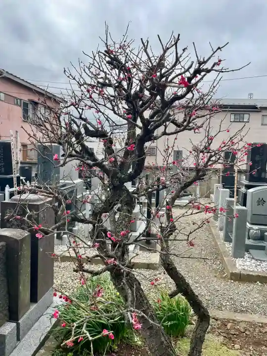 玉蔵院の{uncategorized: "未分類", other: "その他", undefined: "問題あり", building: "その他建物", grave: "お墓", sacred_gate: "鳥居", guardian: "狛犬", statue: "像", buddha: "仏像", history: "歴史", nature: "自然", garden: "庭園", animal: "動物", pagoda: "塔", temizu: "手水舎", mountain_gate: "山門・神門", sanctuary: "本殿・本堂", subordinate: "末社・摂社", art: "芸術", scenery: "景色", jizo: "地蔵", ema: "絵馬", goshuin: "御朱印", omikuji: "おみくじ", items: "授与品その他", amulet: "お守り", goshuincho: "御朱印帳", eats: "食事", festival: "お祭り", votive_dance: "神楽", shichigosan: "七五三参", wedding: "結婚式", experience: "体験その他", initially: "初詣", around: "周辺", anti_infection: "感染症対策"}