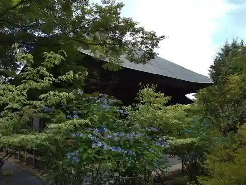 多聞院(埼玉県)