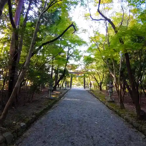 大原野神社の鳥居