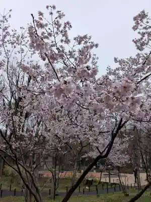 熊野神社(東京都)