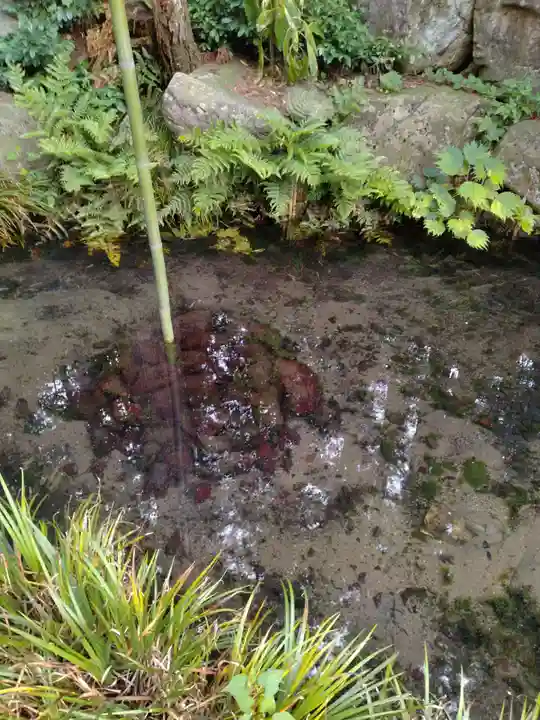 三常院、阿弥陀堂(福島県)