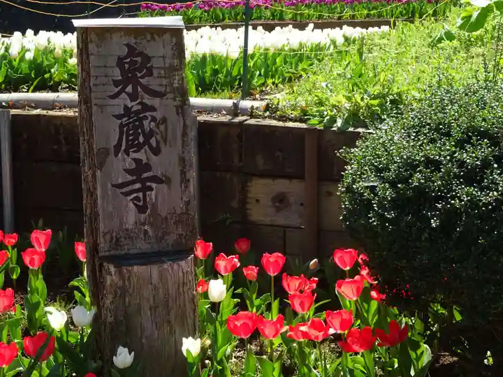 泉蔵寺のその他建物