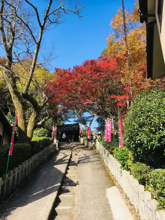𠮷水神社(吉水神社)(奈良県)