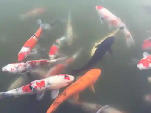 勝尾寺のその他建物