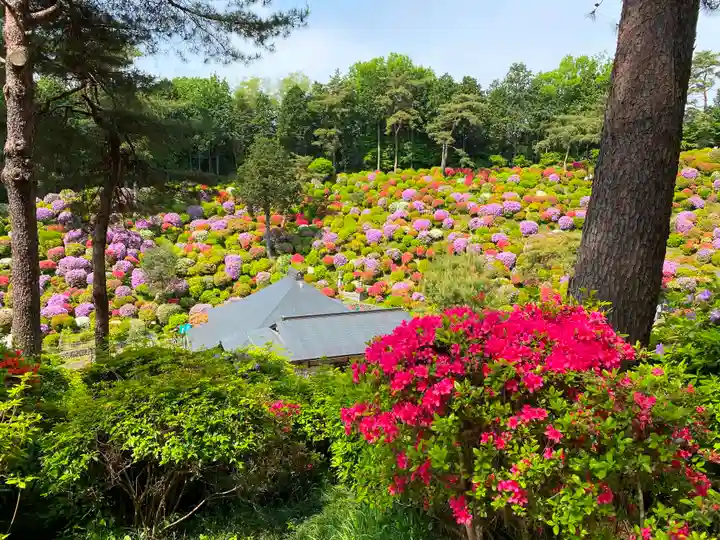 塩船観音寺の庭園