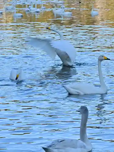西光寺(新潟県)