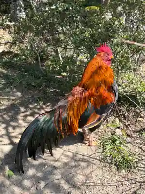 熱田神宮の{uncategorized: "未分類", other: "その他", undefined: "問題あり", building: "その他建物", grave: "お墓", sacred_gate: "鳥居", guardian: "狛犬", statue: "像", buddha: "仏像", history: "歴史", nature: "自然", garden: "庭園", animal: "動物", pagoda: "塔", temizu: "手水舎", mountain_gate: "山門・神門", sanctuary: "本殿・本堂", subordinate: "末社・摂社", art: "芸術", scenery: "景色", jizo: "地蔵", ema: "絵馬", goshuin: "御朱印", omikuji: "おみくじ", items: "授与品その他", amulet: "お守り", goshuincho: "御朱印帳", eats: "食事", festival: "お祭り", votive_dance: "神楽", shichigosan: "七五三参", wedding: "結婚式", experience: "体験その他", initially: "初詣", around: "周辺", anti_infection: "感染症対策"}