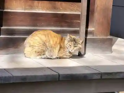 秋葉神社の{uncategorized: "未分類", other: "その他", undefined: "問題あり", building: "その他建物", grave: "お墓", sacred_gate: "鳥居", guardian: "狛犬", statue: "像", buddha: "仏像", history: "歴史", nature: "自然", garden: "庭園", animal: "動物", pagoda: "塔", temizu: "手水舎", mountain_gate: "山門・神門", sanctuary: "本殿・本堂", subordinate: "末社・摂社", art: "芸術", scenery: "景色", jizo: "地蔵", ema: "絵馬", goshuin: "御朱印", omikuji: "おみくじ", items: "授与品その他", amulet: "お守り", goshuincho: "御朱印帳", eats: "食事", festival: "お祭り", votive_dance: "神楽", shichigosan: "七五三参", wedding: "結婚式", experience: "体験その他", initially: "初詣", around: "周辺", anti_infection: "感染症対策"}