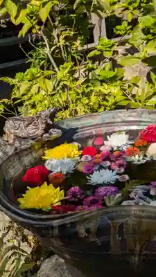 清凉院(京都府)