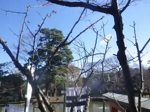 鶴岡八幡宮の自然