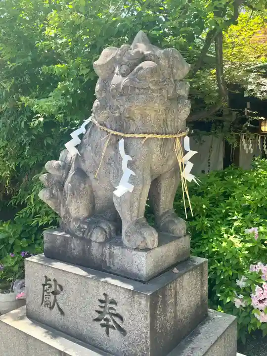 堀越神社(大阪府)
